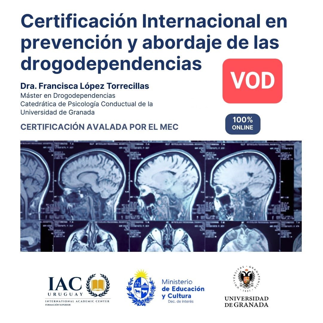 97 - Certificación Internacional en prevención y abordaje de las drogodependencias